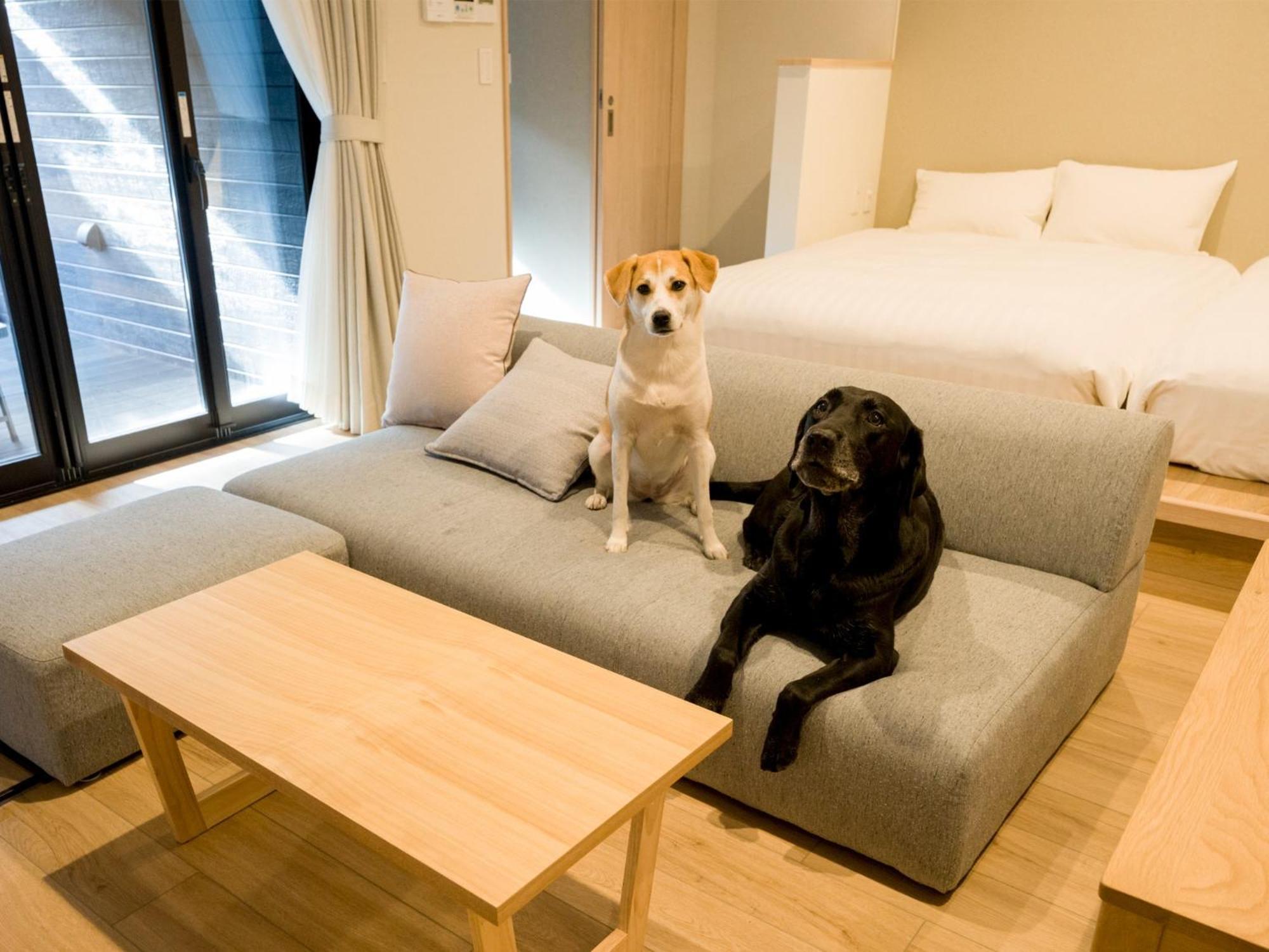 Rakuten Stay Nikko Hoden Capacity Of 8 Persons Екстериор снимка